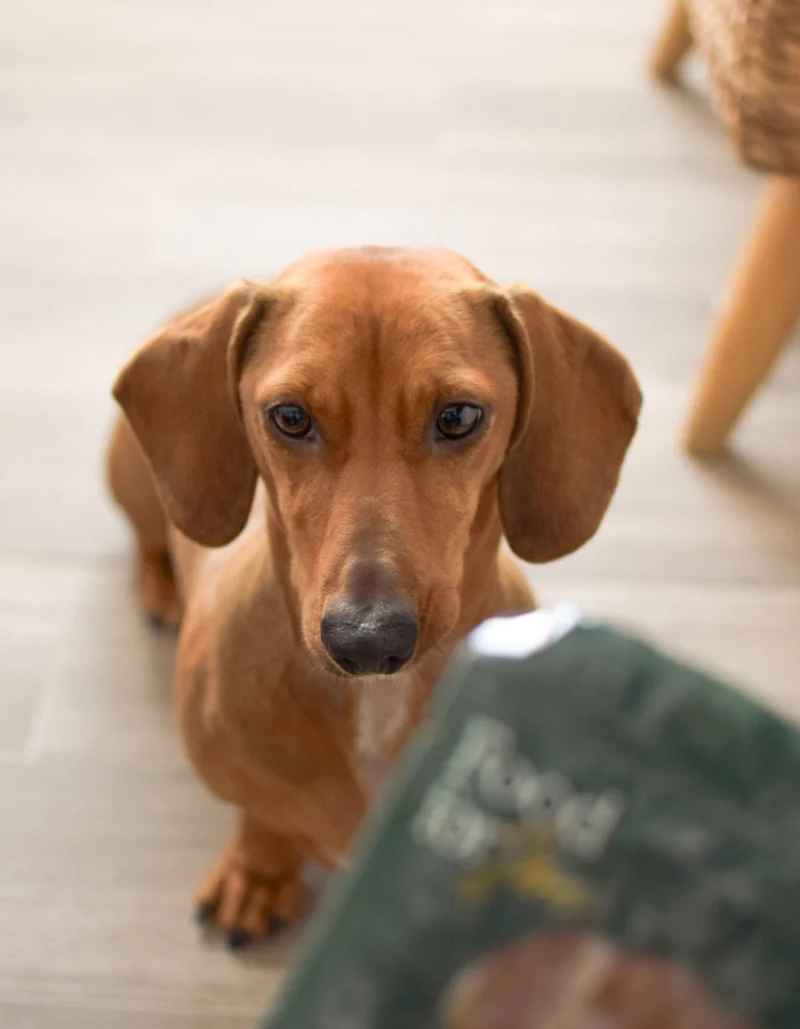 food for joe coruña