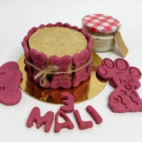 tarta de cumpleaños de pescado para perros