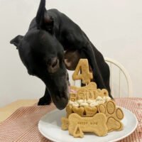 tarta de pollo cumpleaños perro