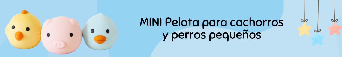 min pelota para perros toy