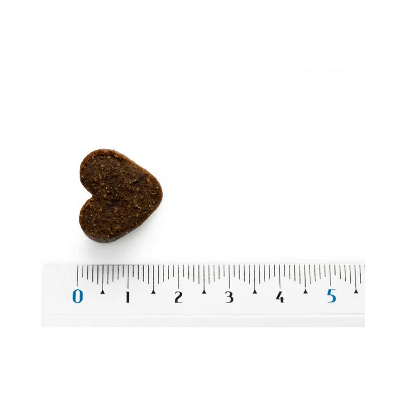 Moments Pavo perros Moments Pavo perros