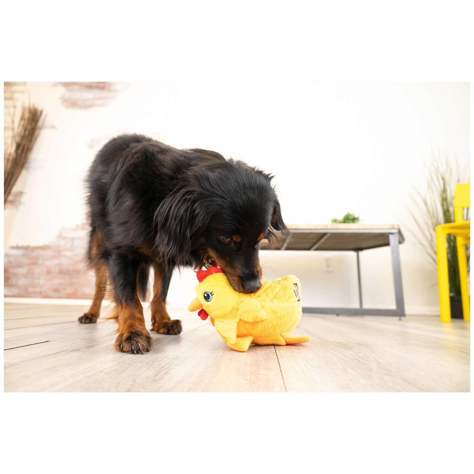 Peluche de Olfateo - Pollito Forage KONG perro