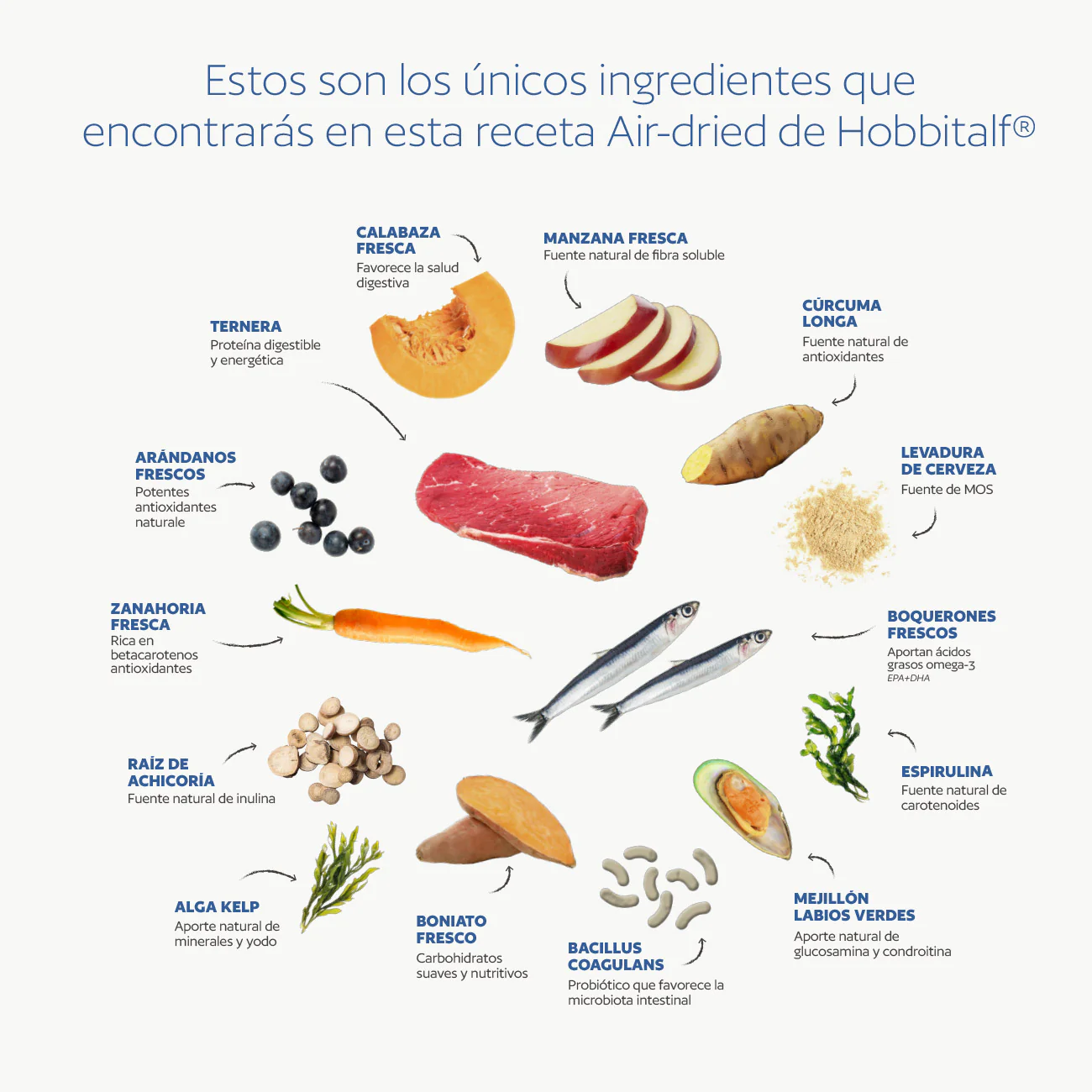 ingredientes-perro-AIRDRIED-Adult-boqueron-Ternera-hobbitalf ingredientes-perro-AIRDRIED-Adult-boqueron-Ternera-hobbitalf