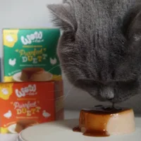Flan para Gatos - Purrfect Duett Pato alimento completo