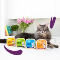 Multipack 8 x 85g Paté Gato - Edgard & Cooper