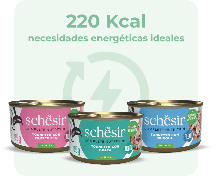 comida humeda para gatos schesir