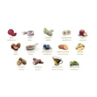 Pienso para perros de Conejo Zen Grain Free Light & Fit ingredientes