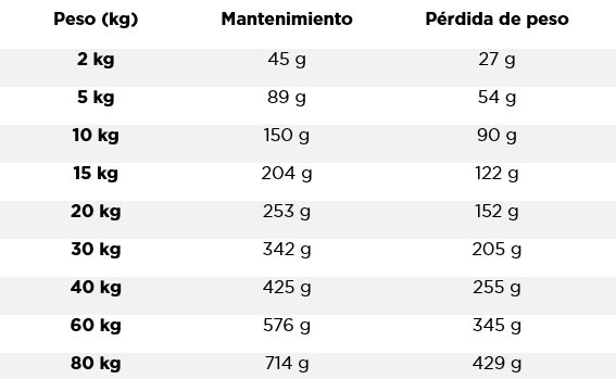guia alimentacion conejo zen pienso