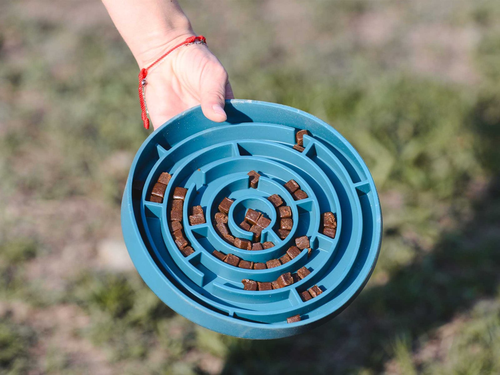 BOWL Soft – Comedero Lento para perros FREEDOG producto azul