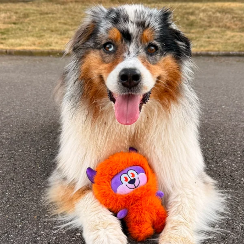 PELUCHE SORPRESA PARA PERROS FERRIBIELLA PELUCHE SORPRESA PARA PERROS FERRIBIELLA