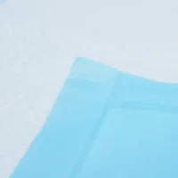 Pack 10 empapadores extra grandes 90x60