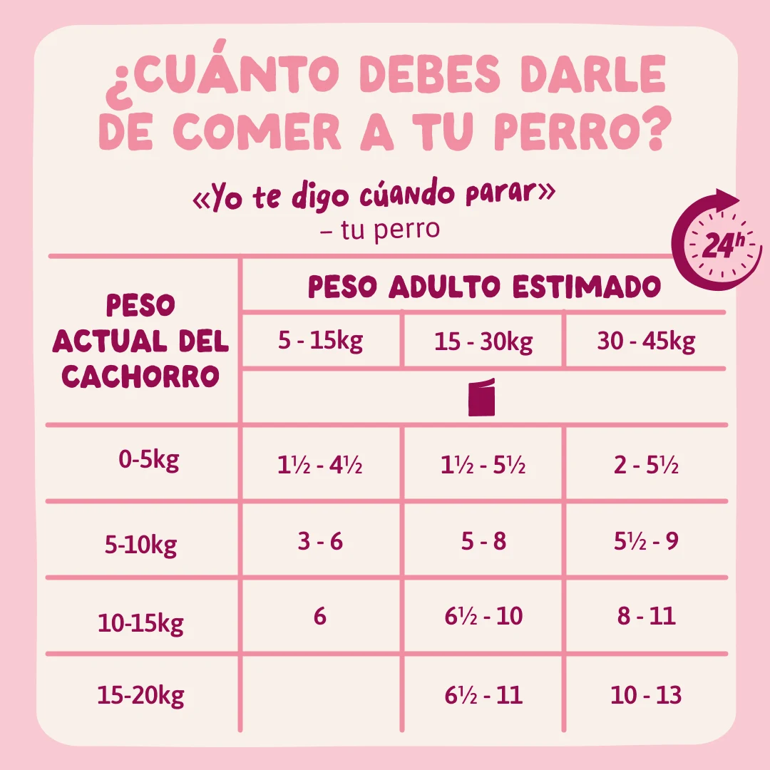 Guiso completo de Pavo para perros – Edgard & Cooper dosis Guiso completo de Pavo para perros - Edgard & Cooper dosis