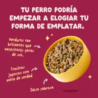 Guiso completo de Pollo para perros - Edgard & Cooper prodc