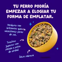 Guiso completo de Salmón para perros - Edgard & Cooper produc