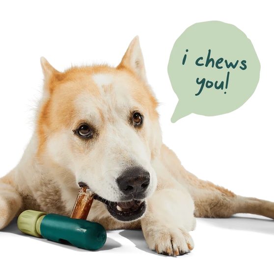 Soporte de snacks para perros bullysafe